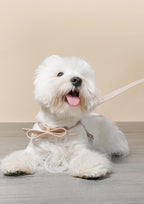 Miranda Waterproof Harness