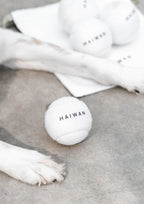 Haiwan Tennis Balls (Pack of 4)