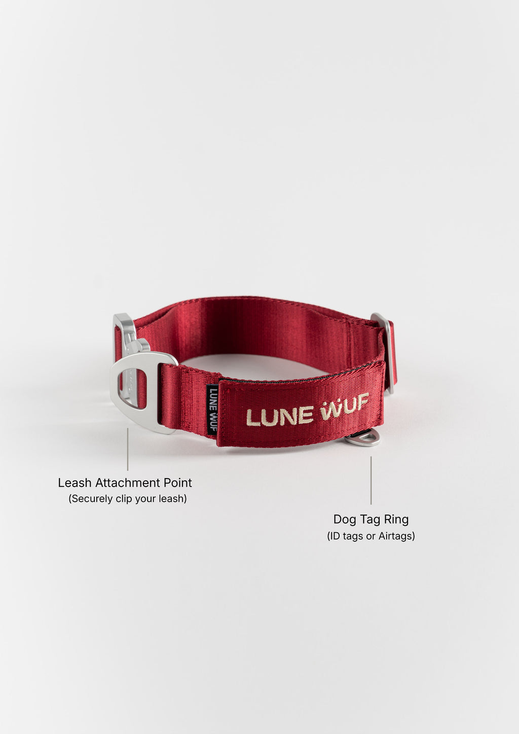 Everyday Collar (Orchid Lilac)