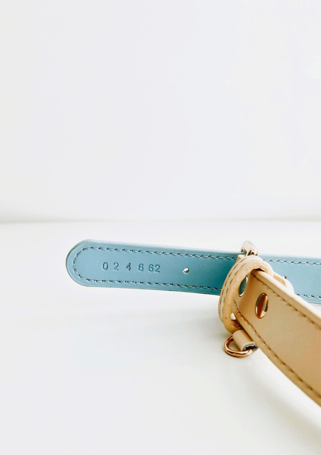 CURIO Collar & Leash Set (Lilac)