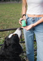 Silicone Dog Treat Dispenser (Springer Green)