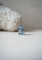 Maine Coon Prosopa Charm