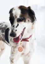 BUTTERO Leather Collar