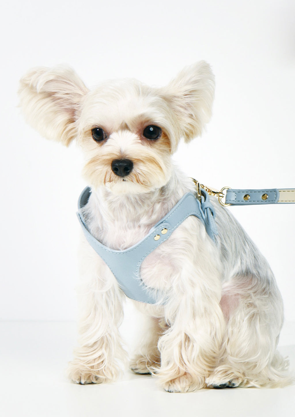 LETA Harness & Leash Set (Grey)