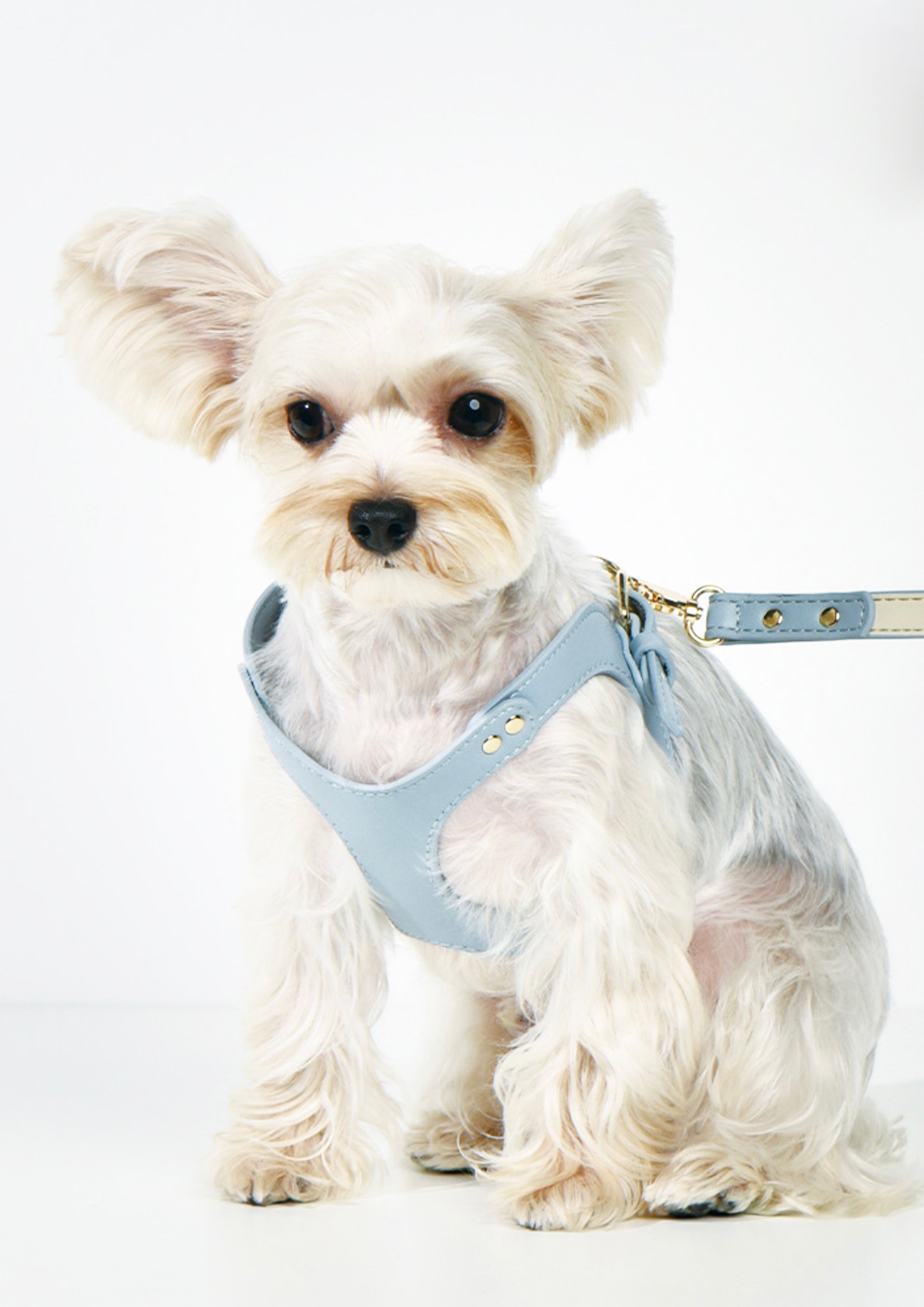 LETA Harness & Leash Set (Grey)