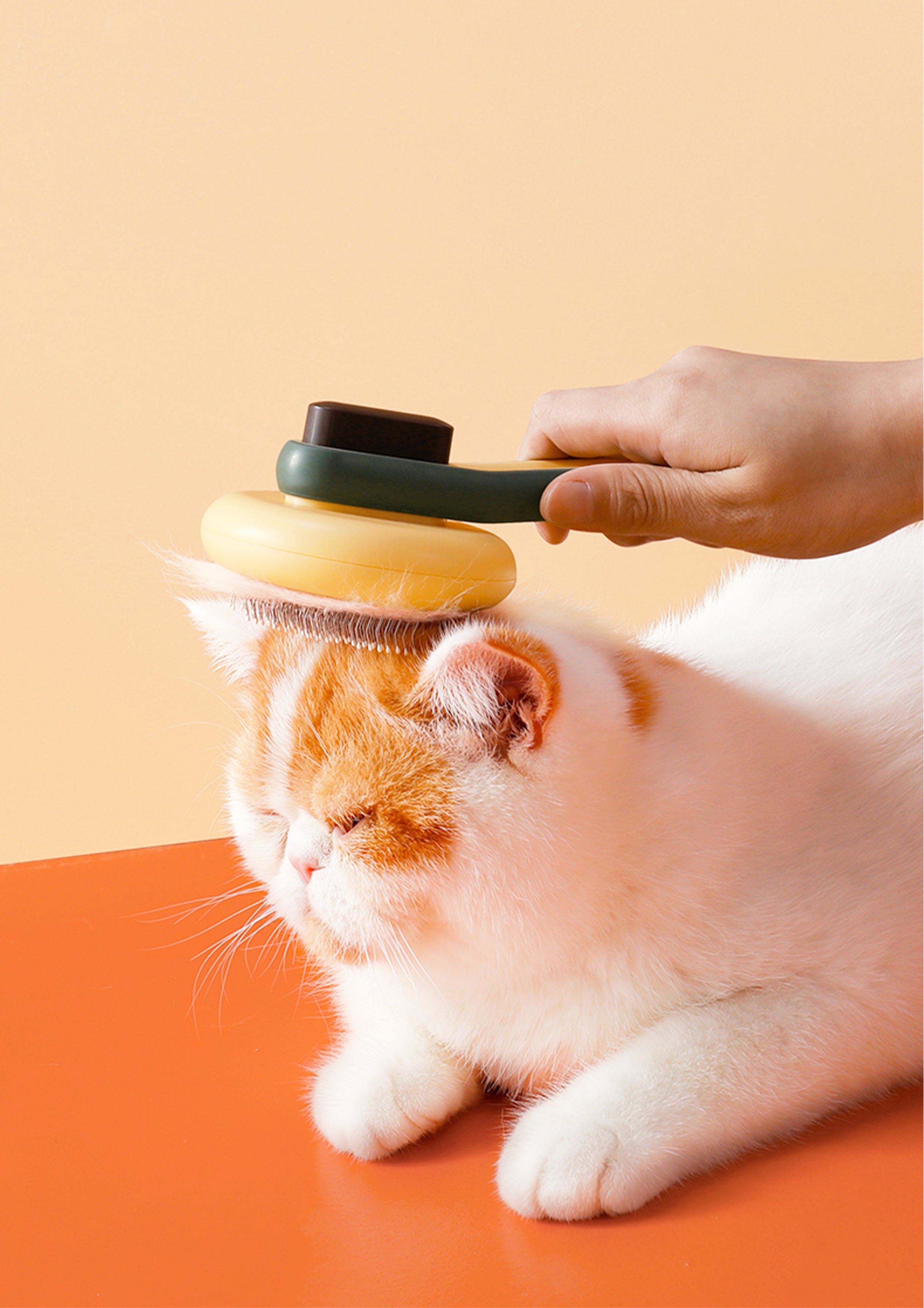 Comb with Fur Remover