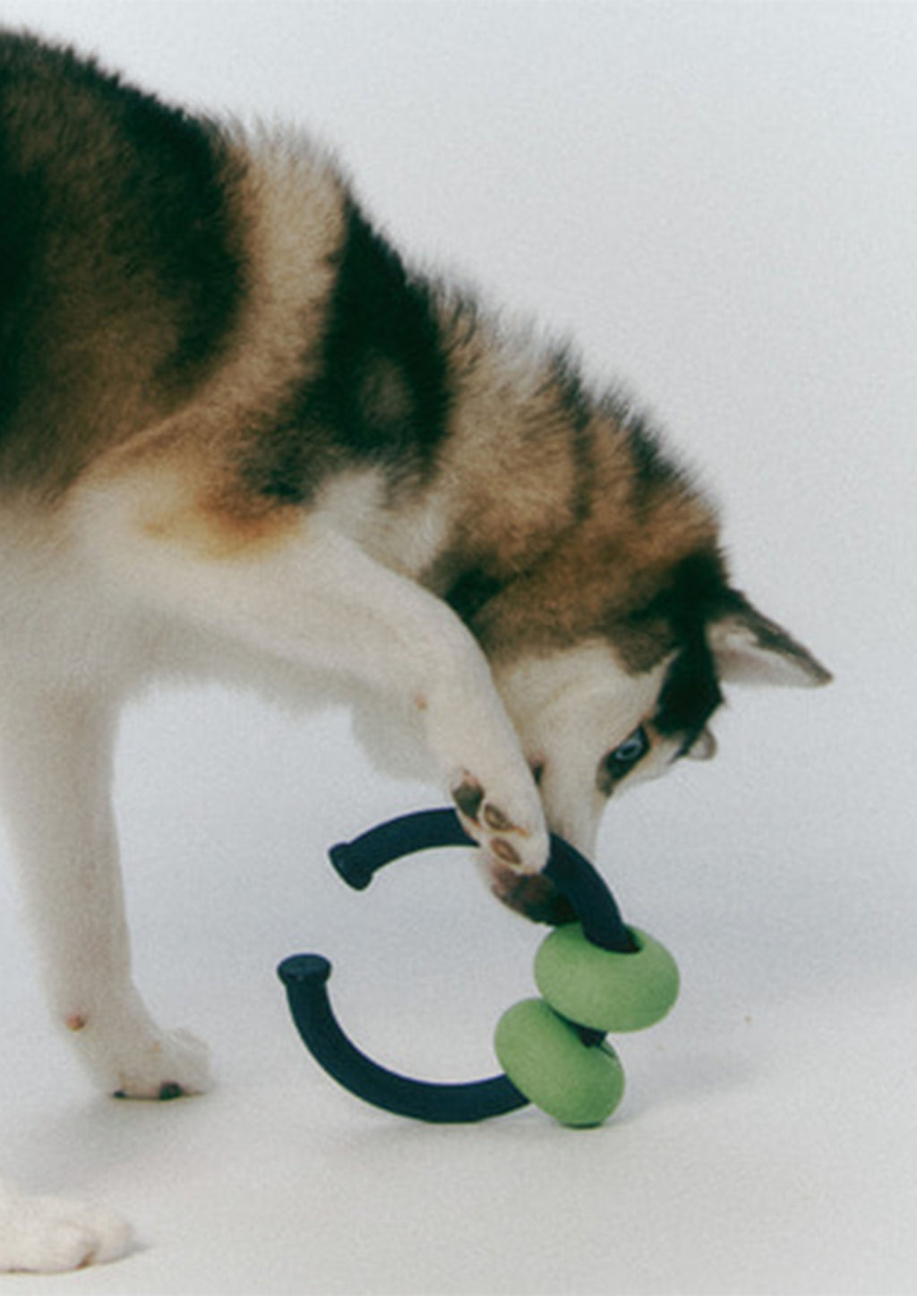Dango Ring (Olive Green)