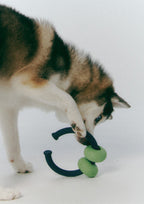 Dango Ring (Olive Green)