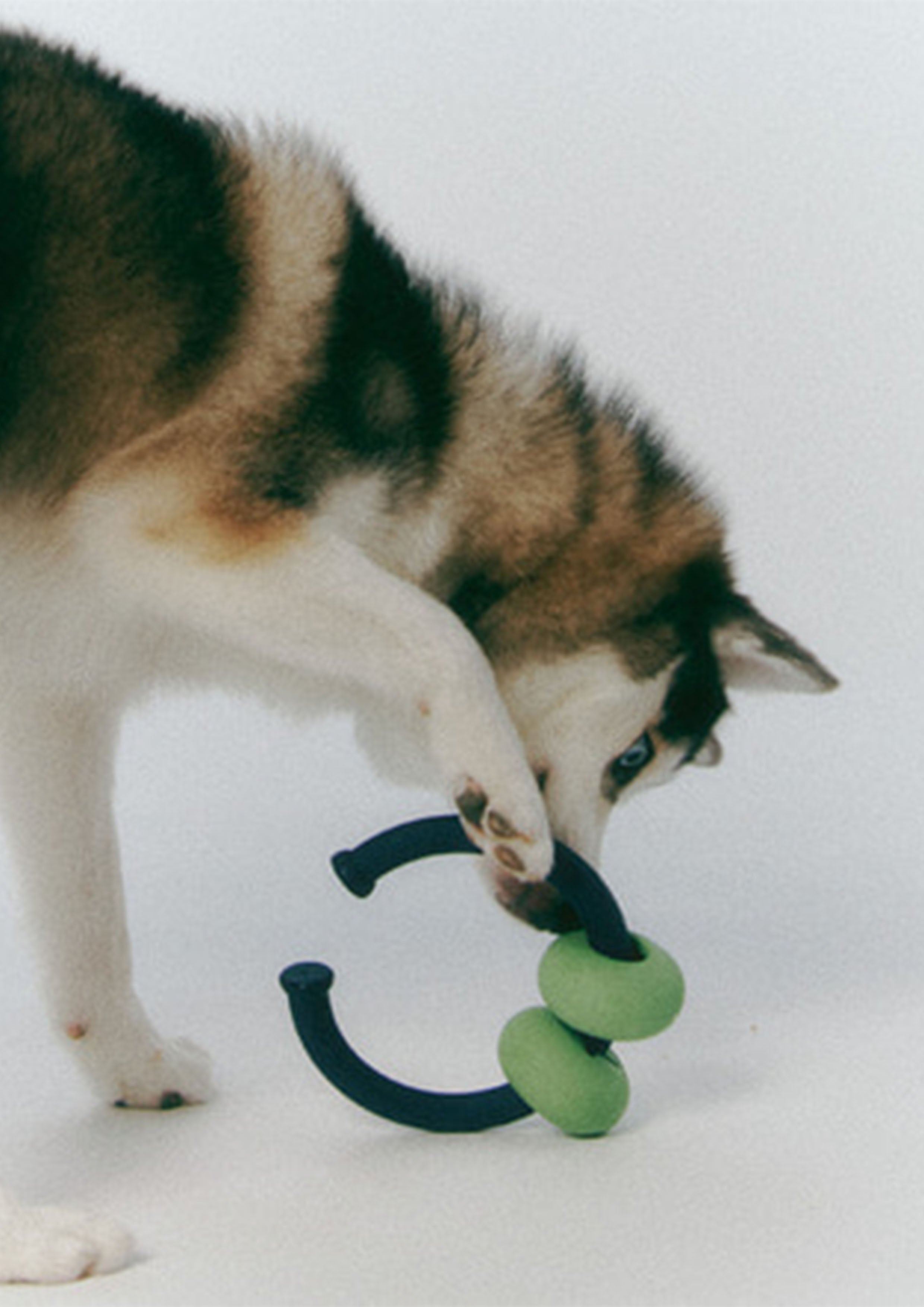 Dango Ring (Olive Green)