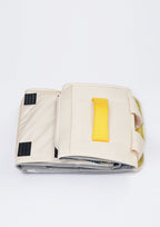 Game Boy Carrier