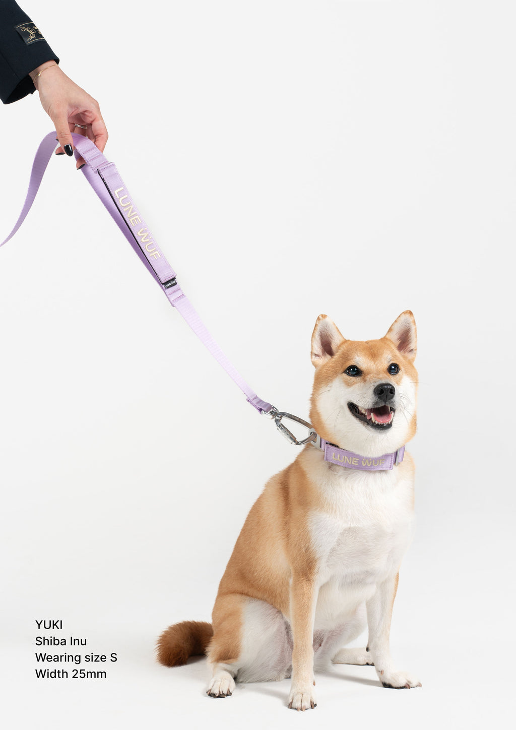 Everyday Collar (Orchid Lilac)