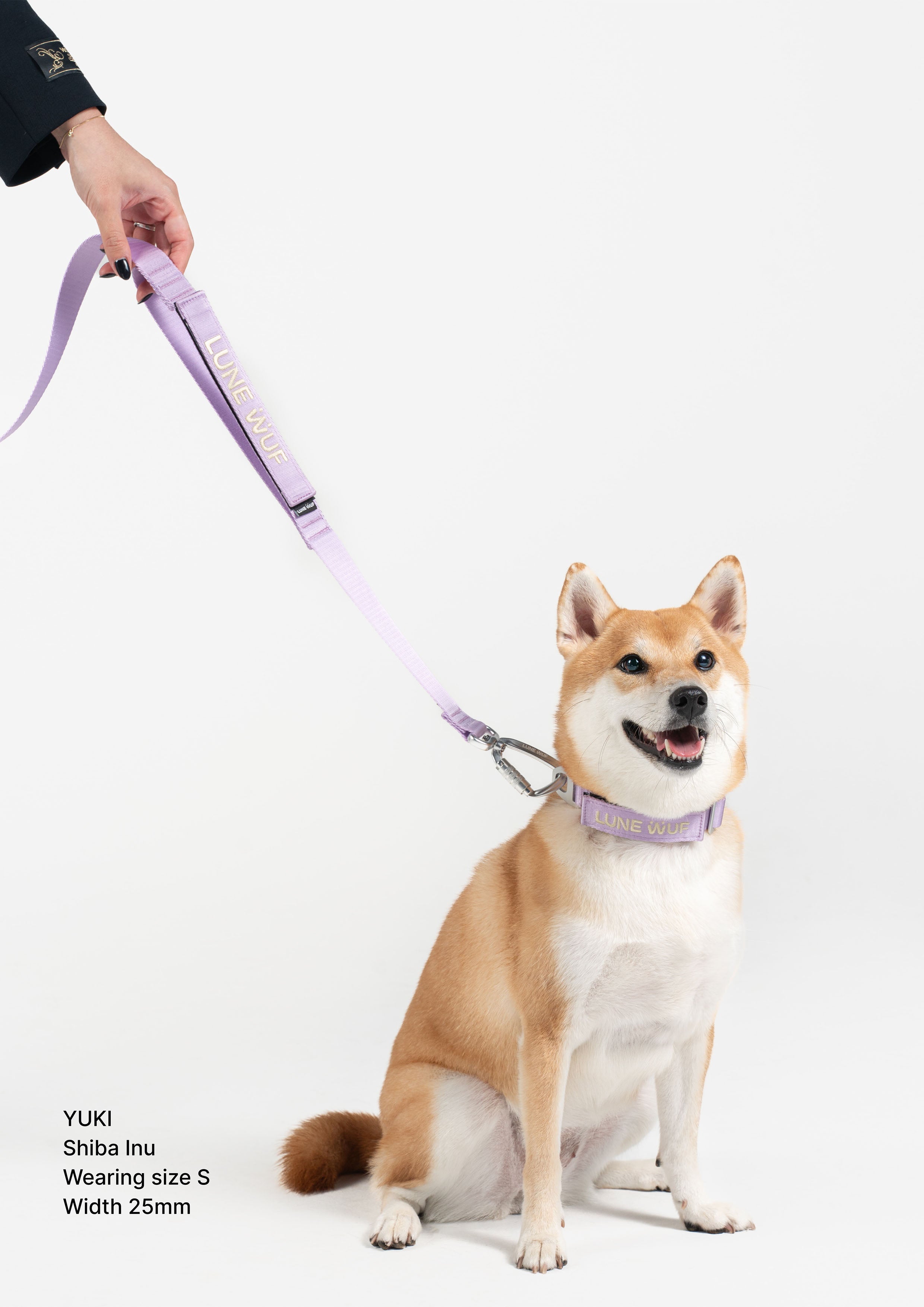 Everyday Collar (Orchid Lilac)