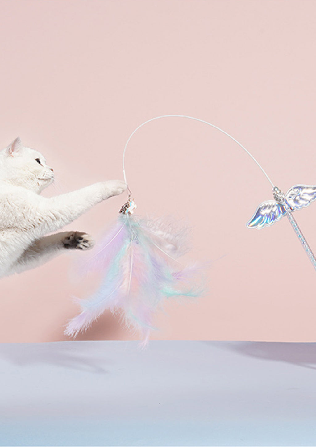 Unicorn Cat Teaser