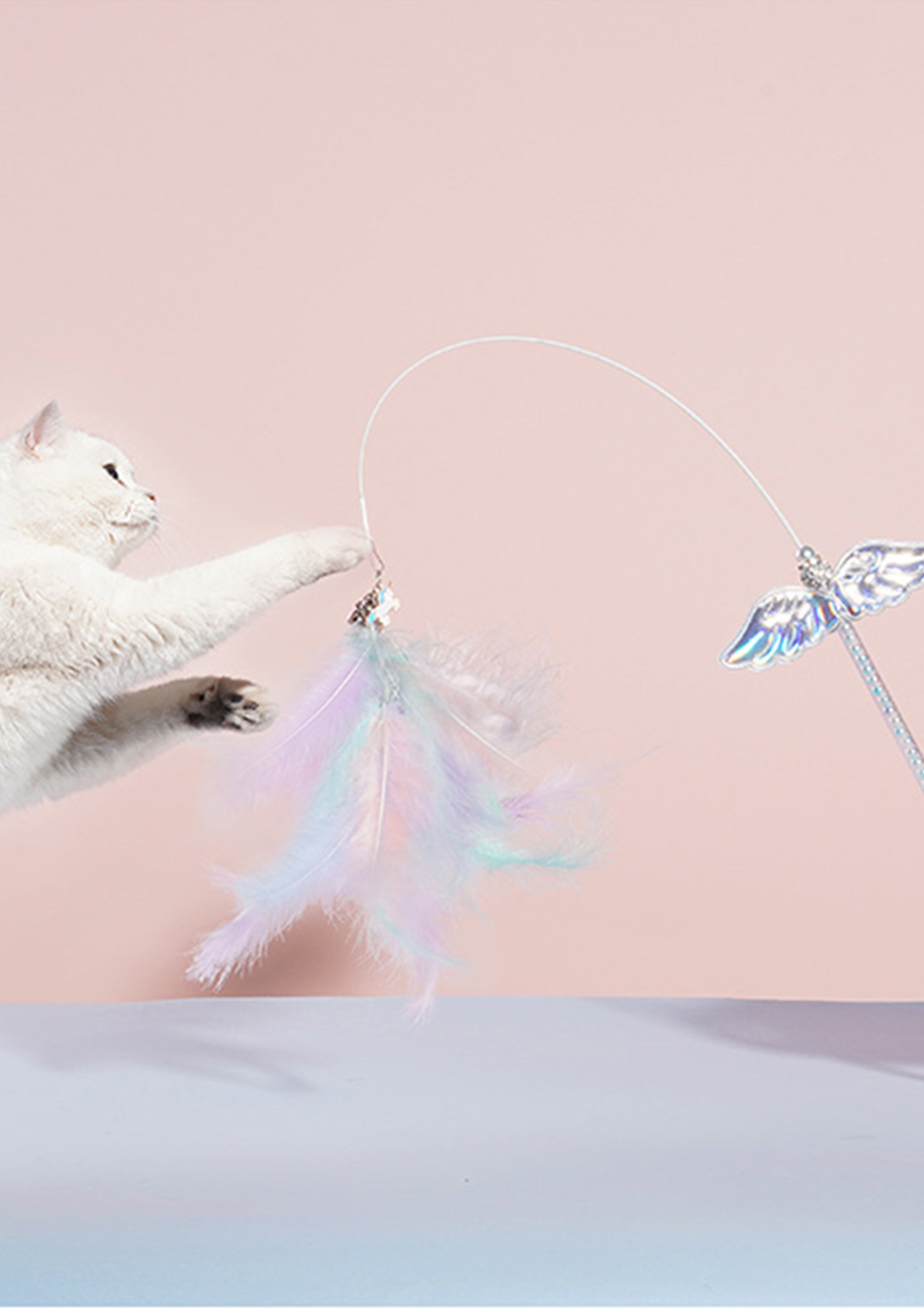 Unicorn Cat Teaser