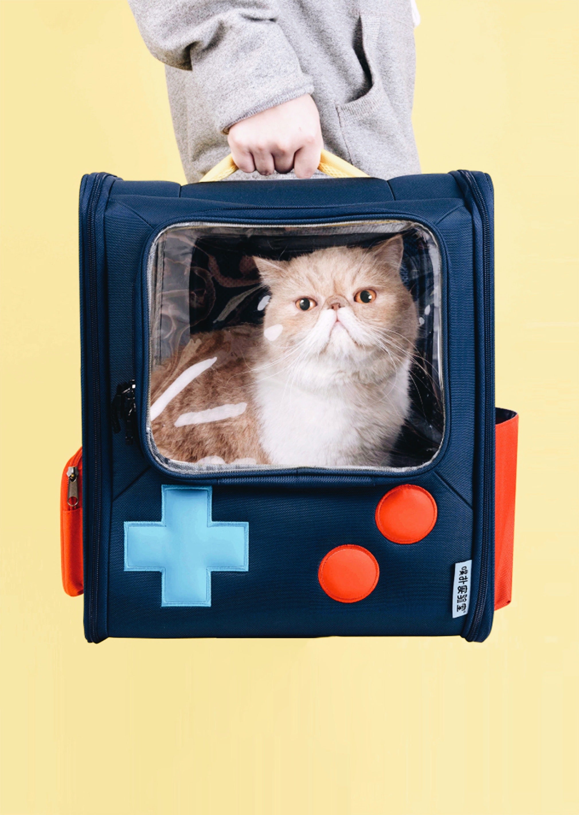 Game Boy Carrier