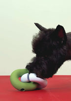 Gori (Olive Green)