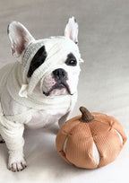 CINDERELLA Snuffle Pumpkin