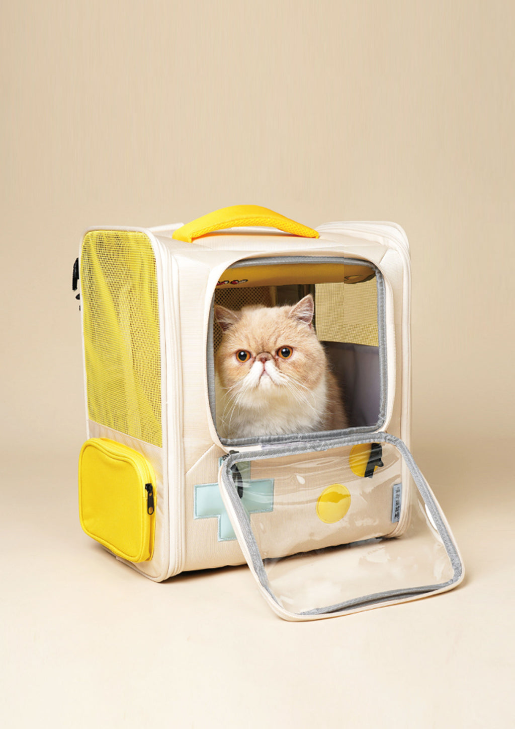 Game Boy Carrier