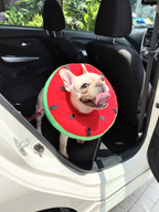 Watermelon Cone