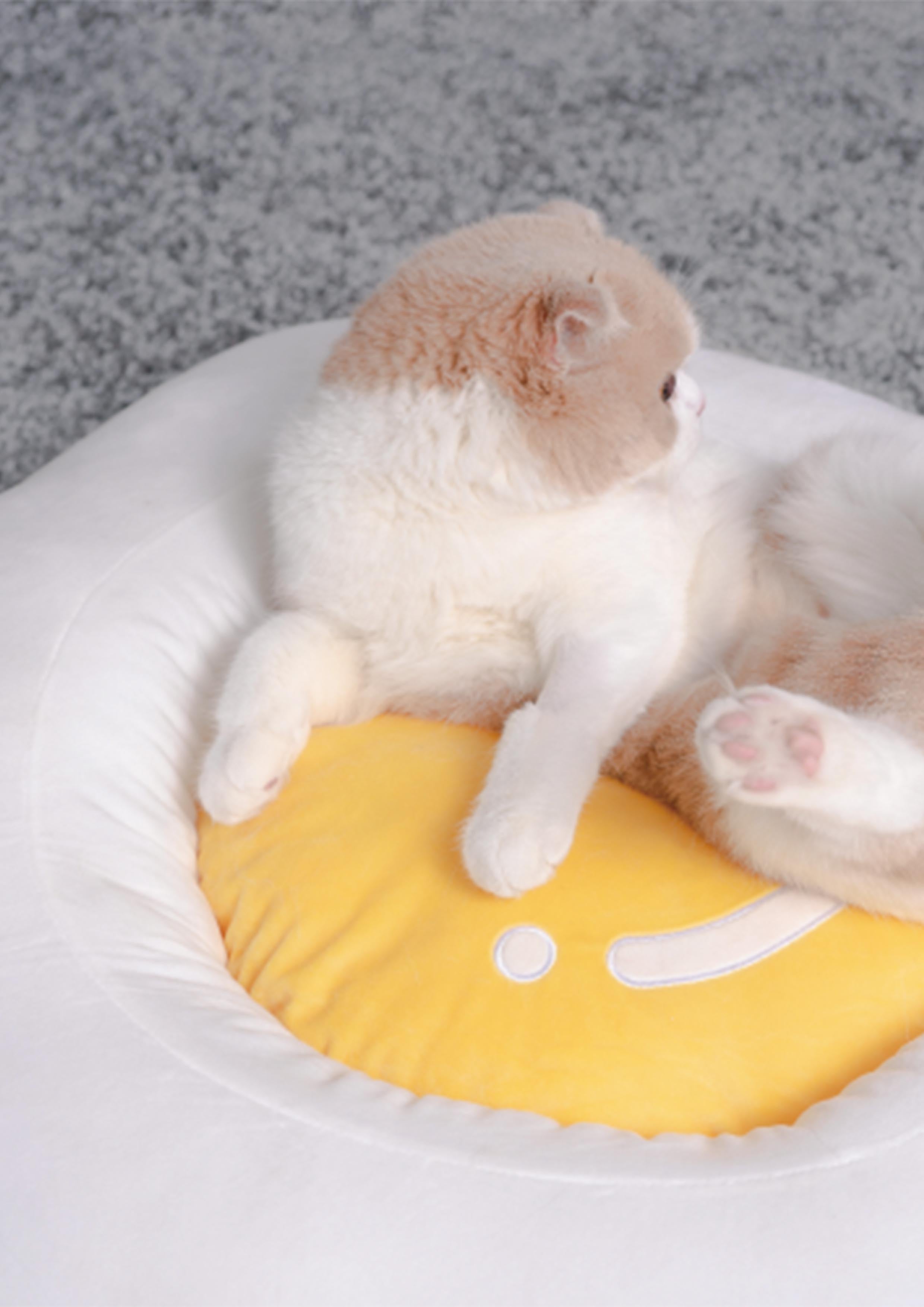 Egg Bed