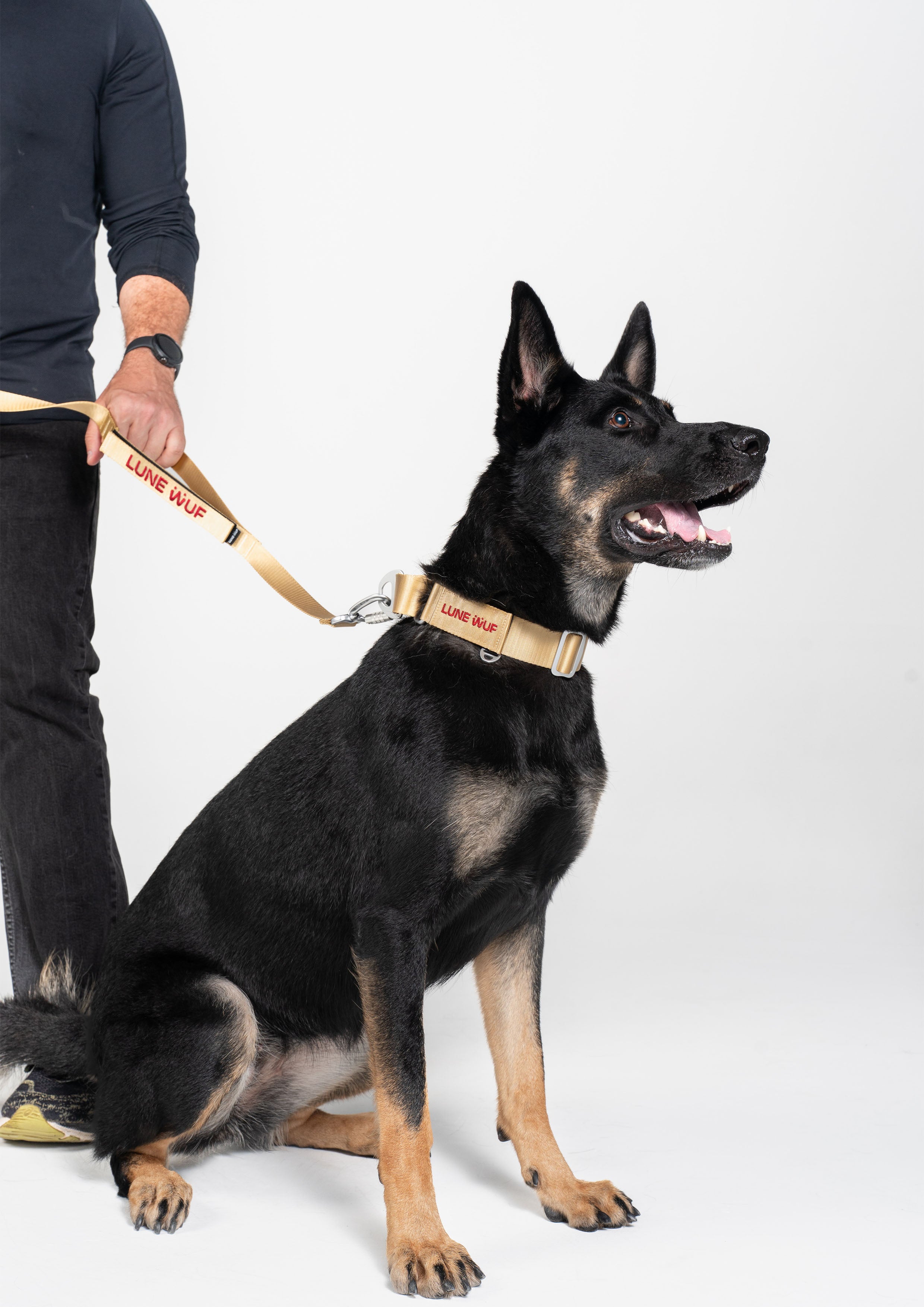 Buckle Martingale (Sand Dune)