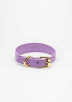 Violet Croco Thin Leather Collar