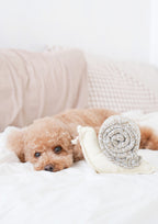 SNAIL Snuffle + Squeaky
