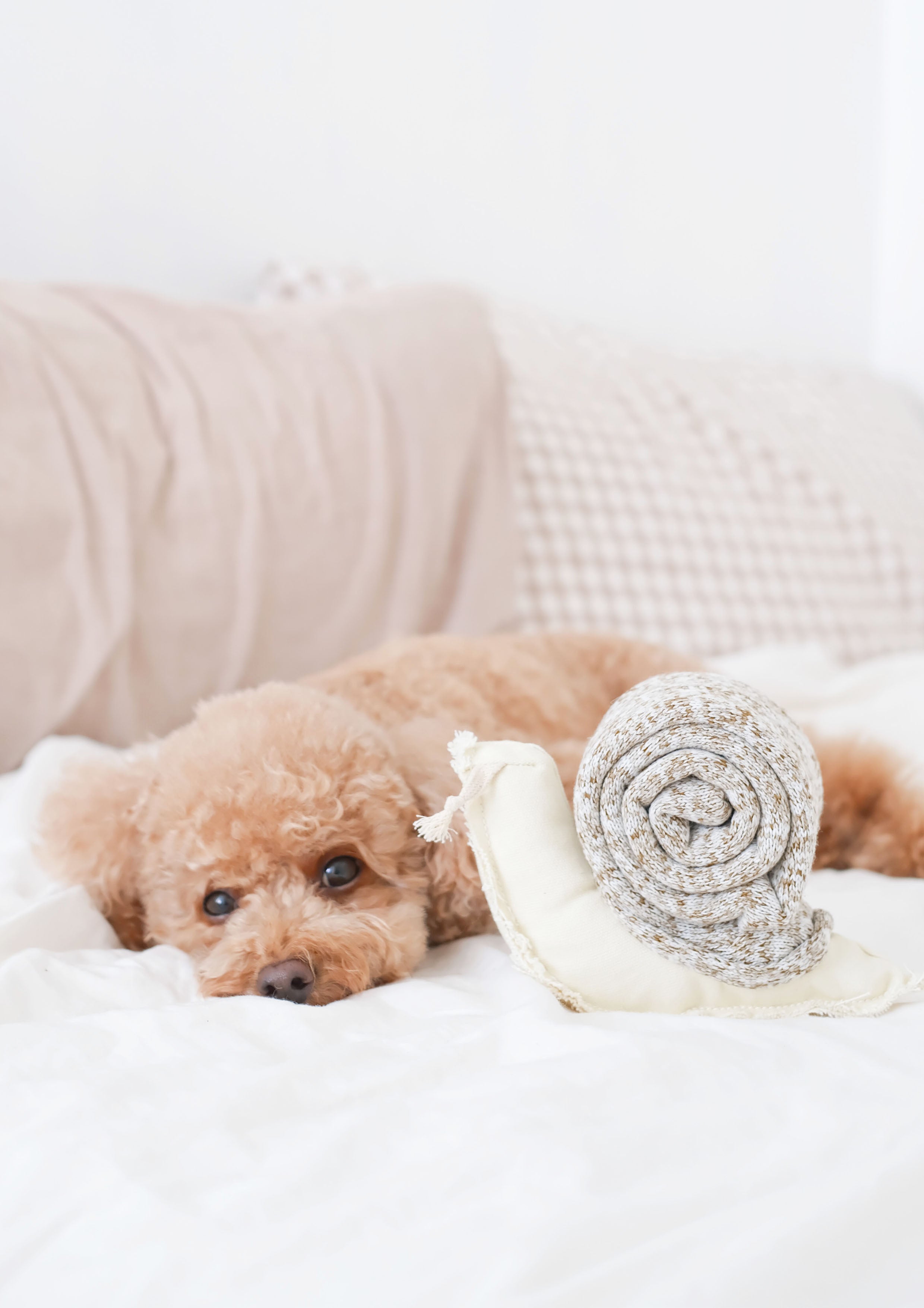 SNAIL Snuffle + Squeaky