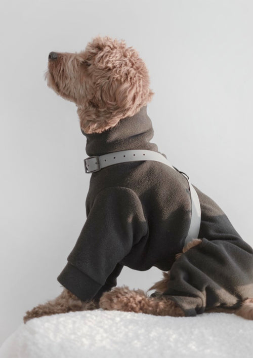OTTO Figure 8 Harness