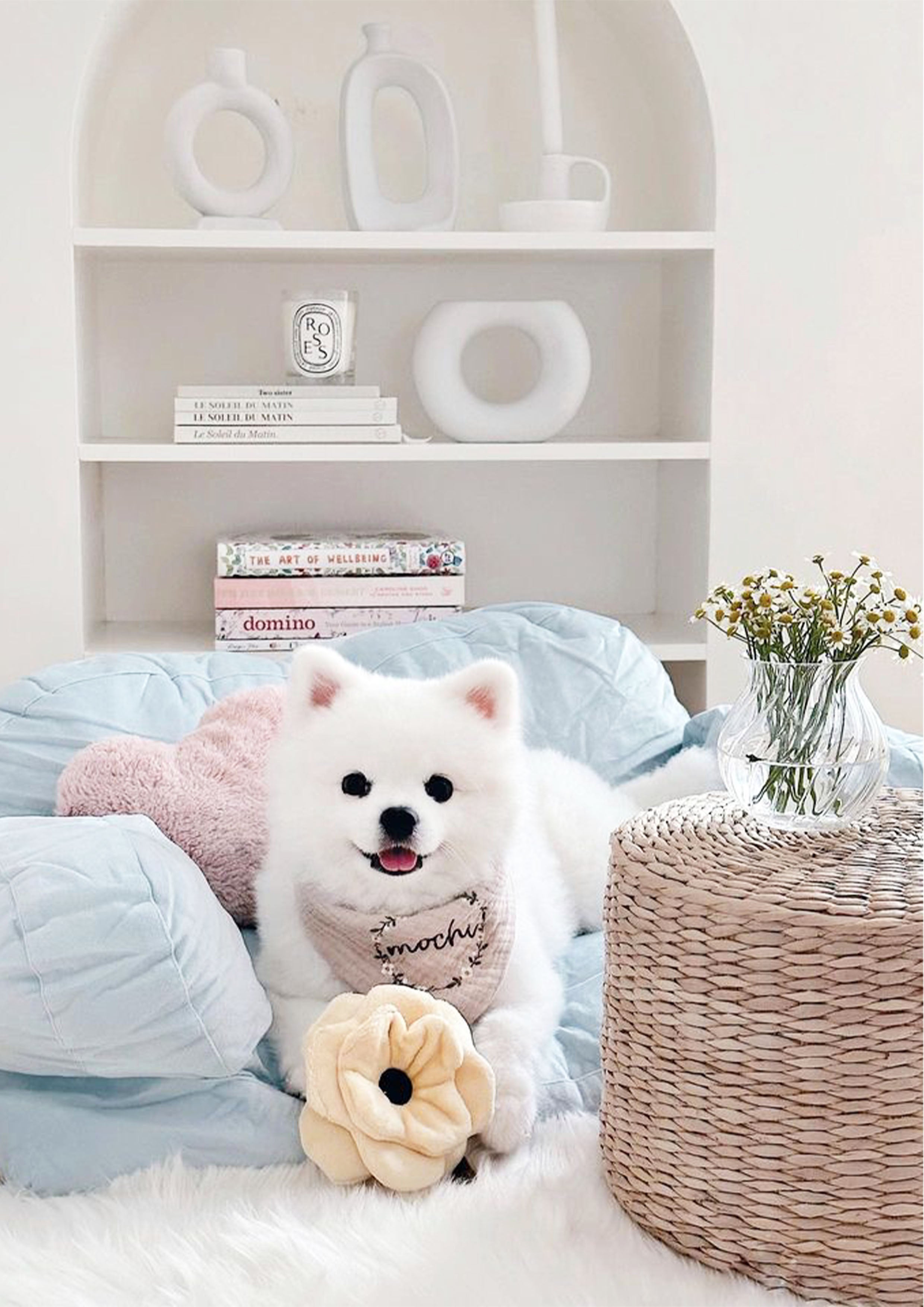 POPPY S Snuffle + Squeaky