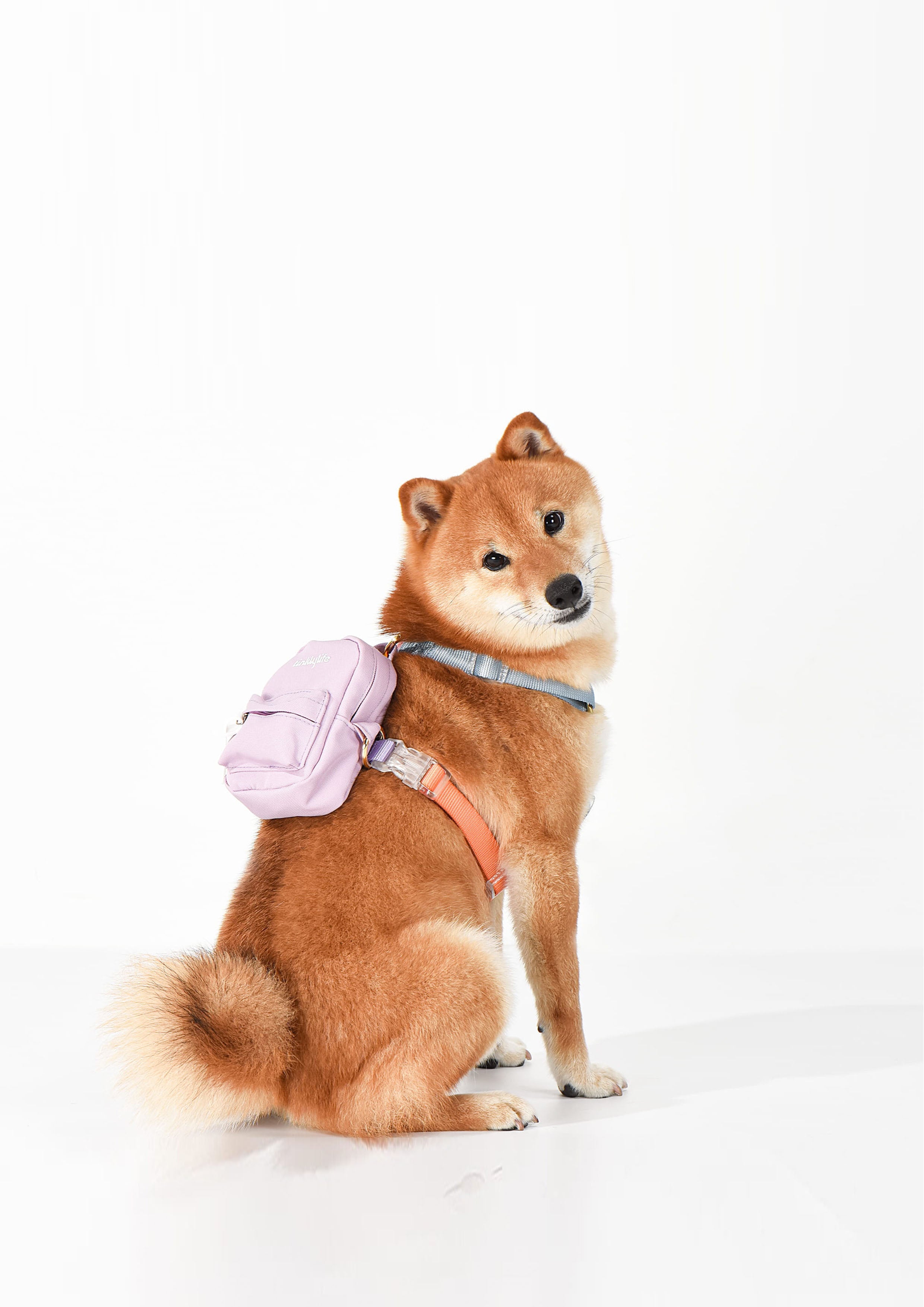 The Backpack