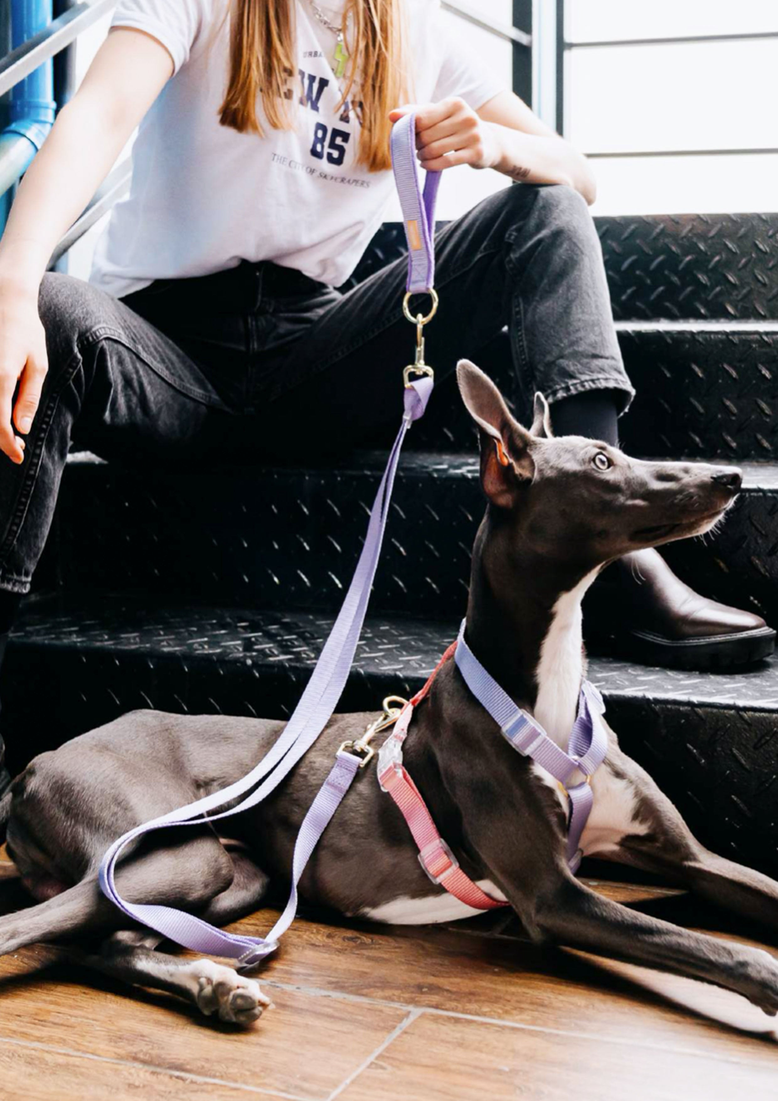 Taro Boba Harness