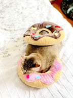 Chocolate Donut Cone