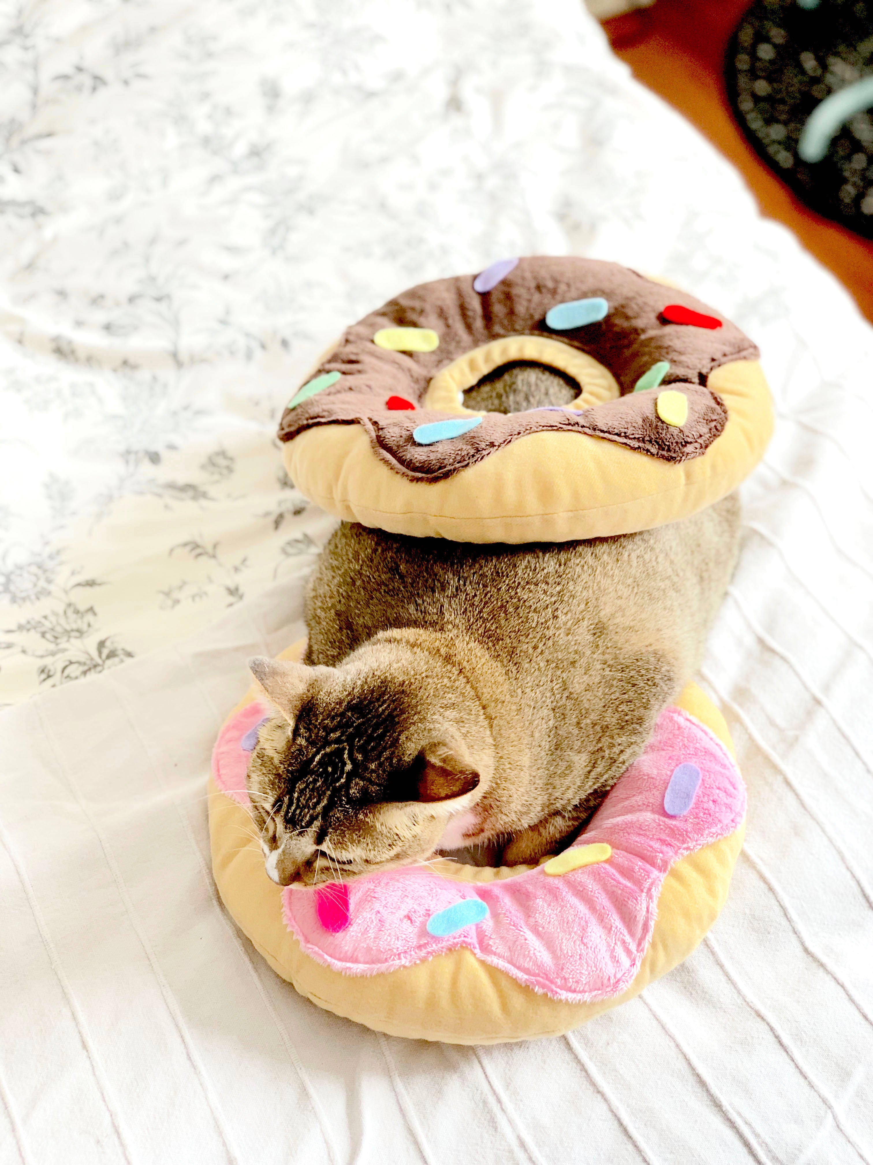 Chocolate Donut Cone