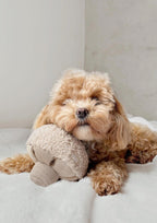 GUU Snuffle Mushroom