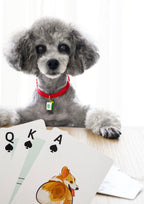 Haiwan Playing Cards