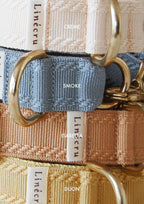 DIVI Split Leash Add On