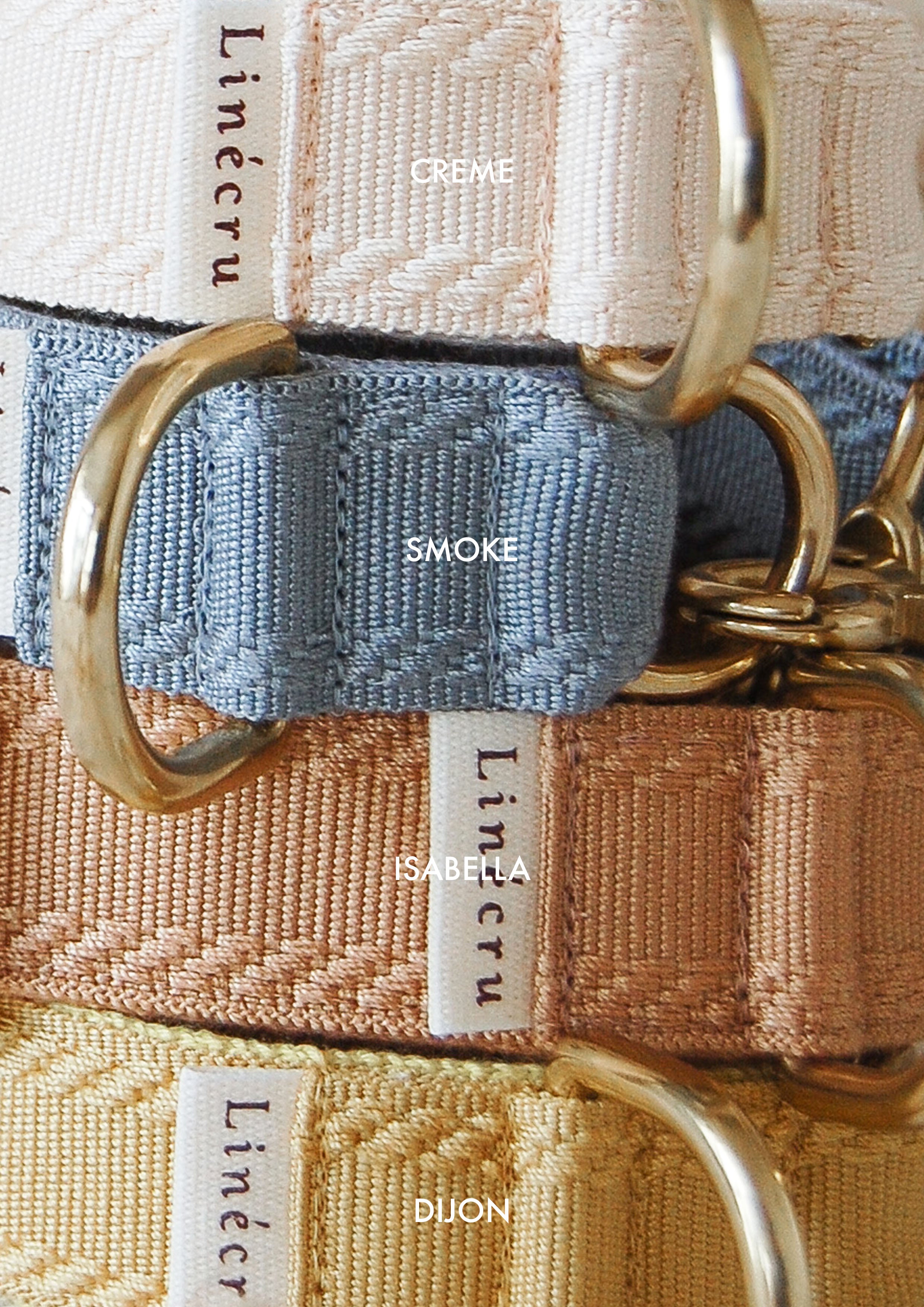 DIVI Split Leash Add On