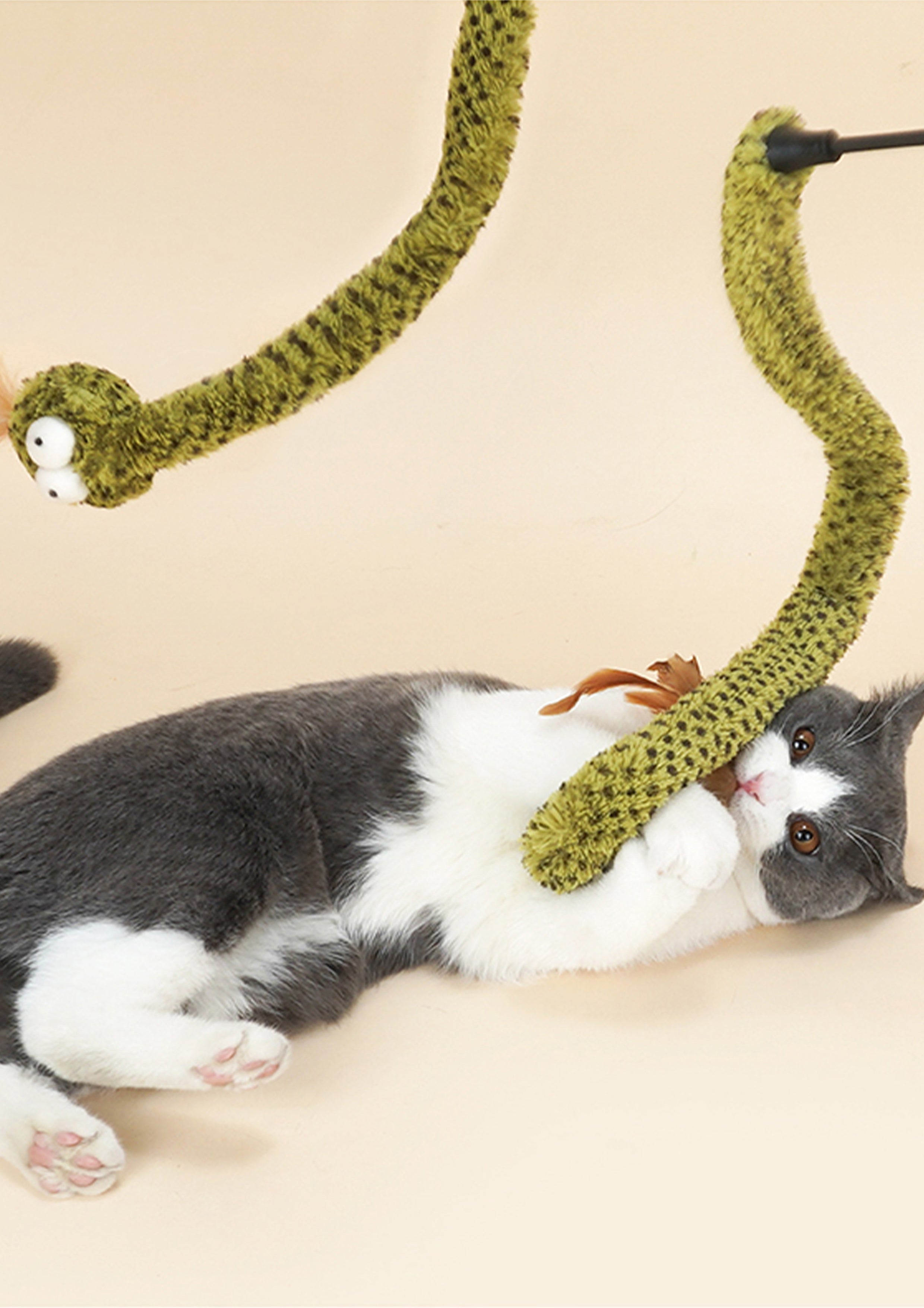 Rattlesnake Cat Teaser with Crinkle