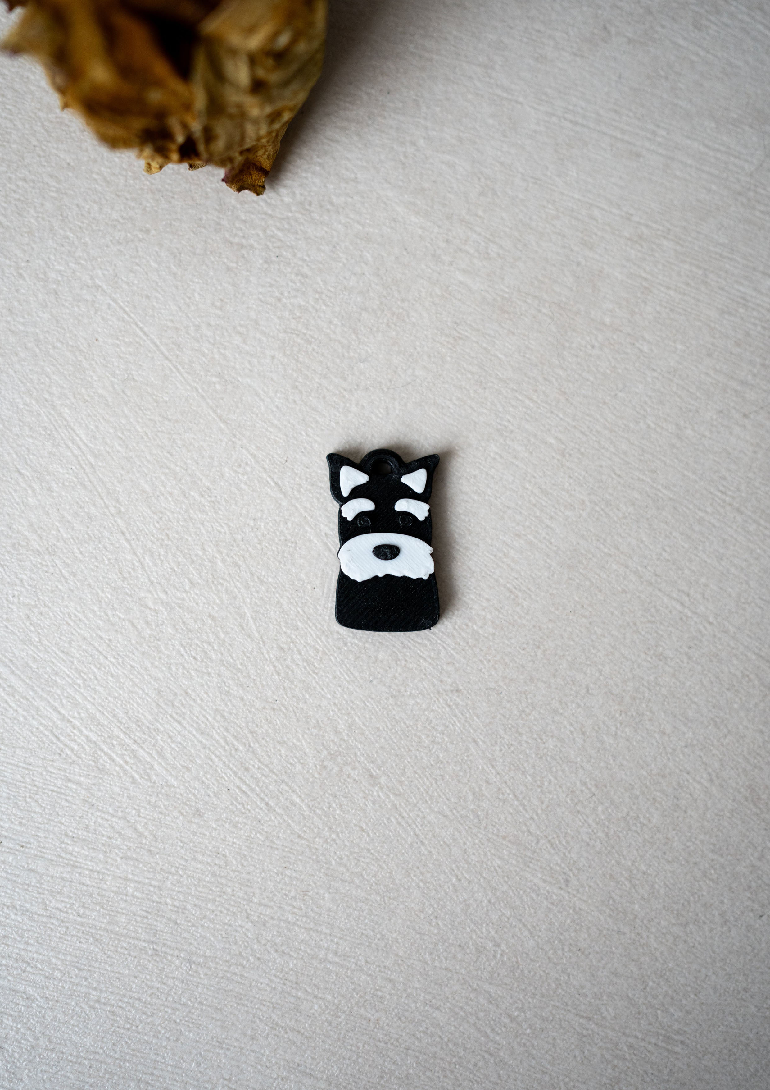 Schnauzer Prosopa Charm