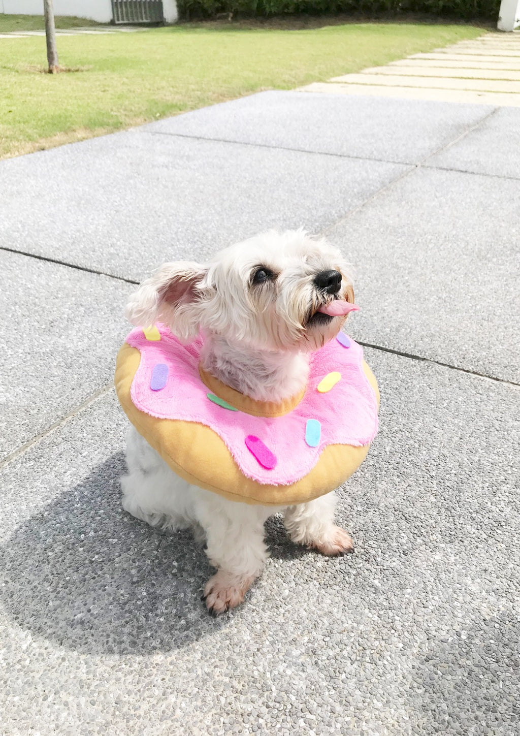 Pink Donut Cone