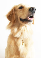 Cubic Zirconia Tag