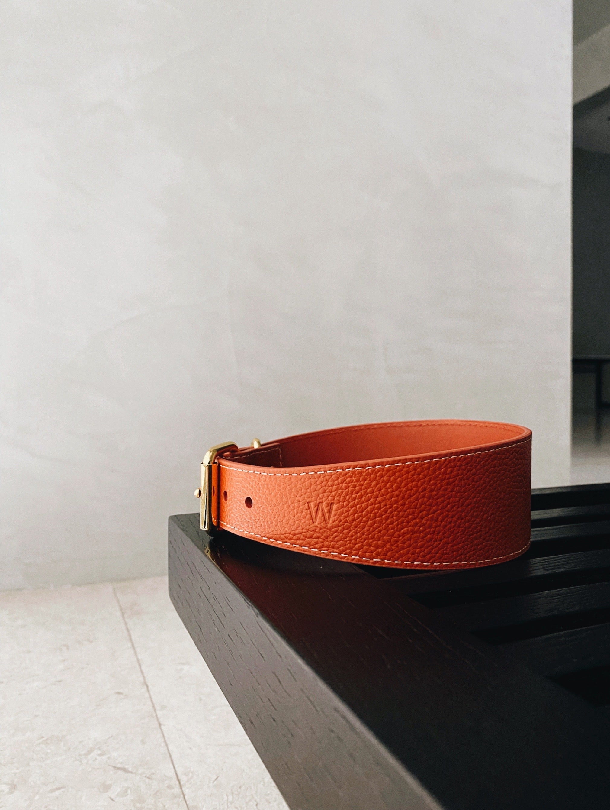 Hot Pink Thin Leather Collar
