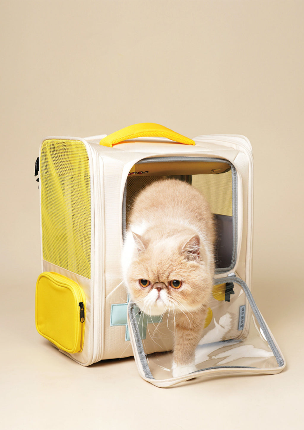 Game Boy Carrier