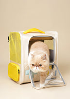 Game Boy Carrier
