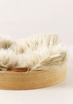 RING Nest