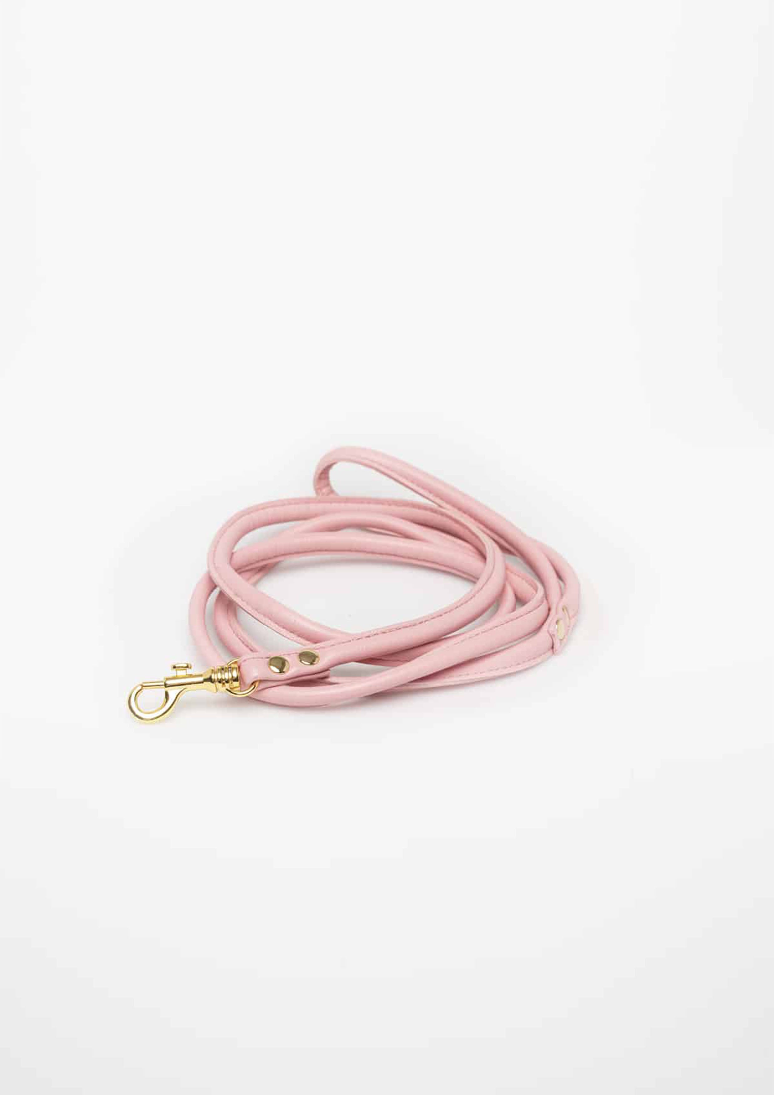 Pink Vegan Lead