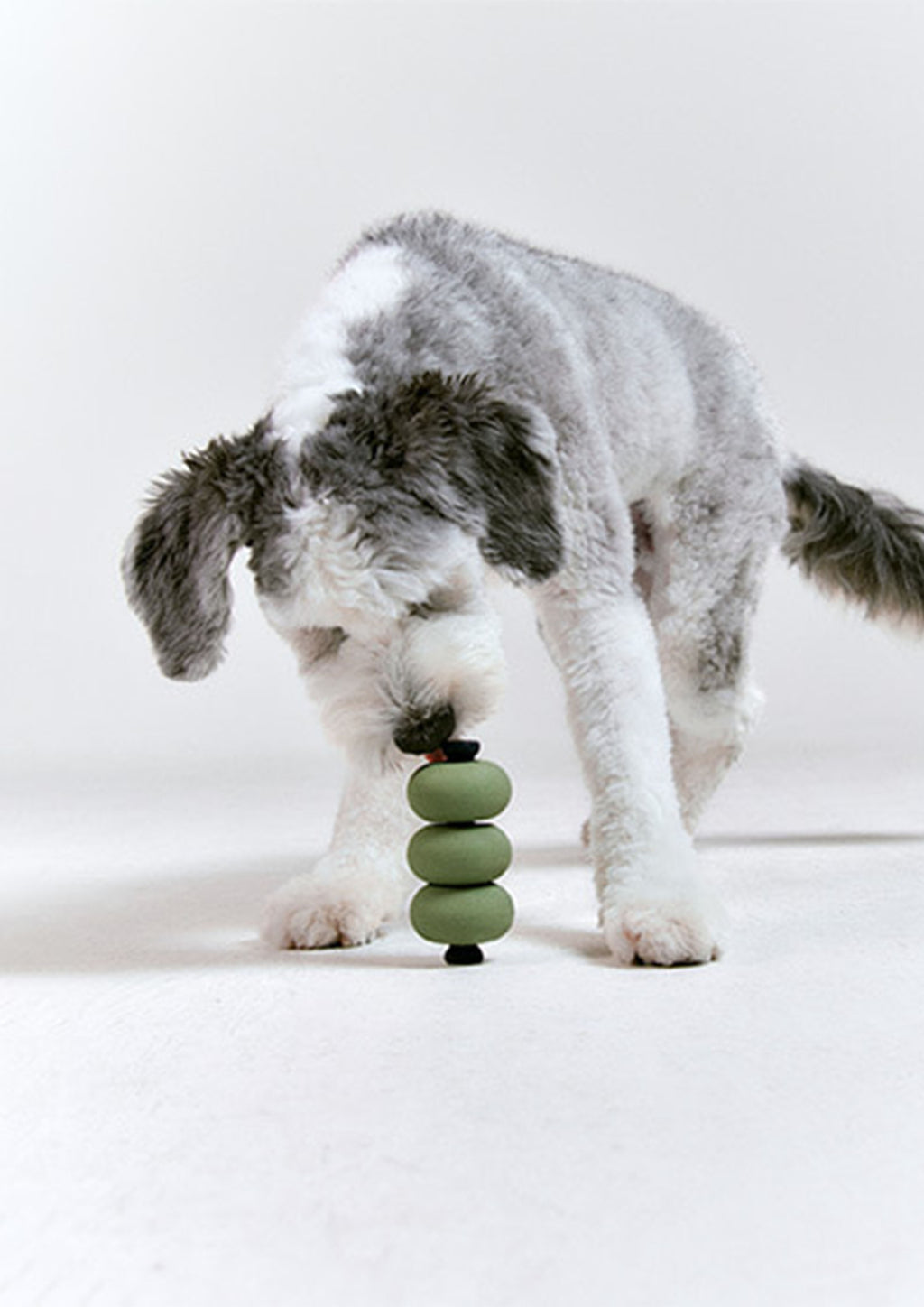 Dango (Olive Green)