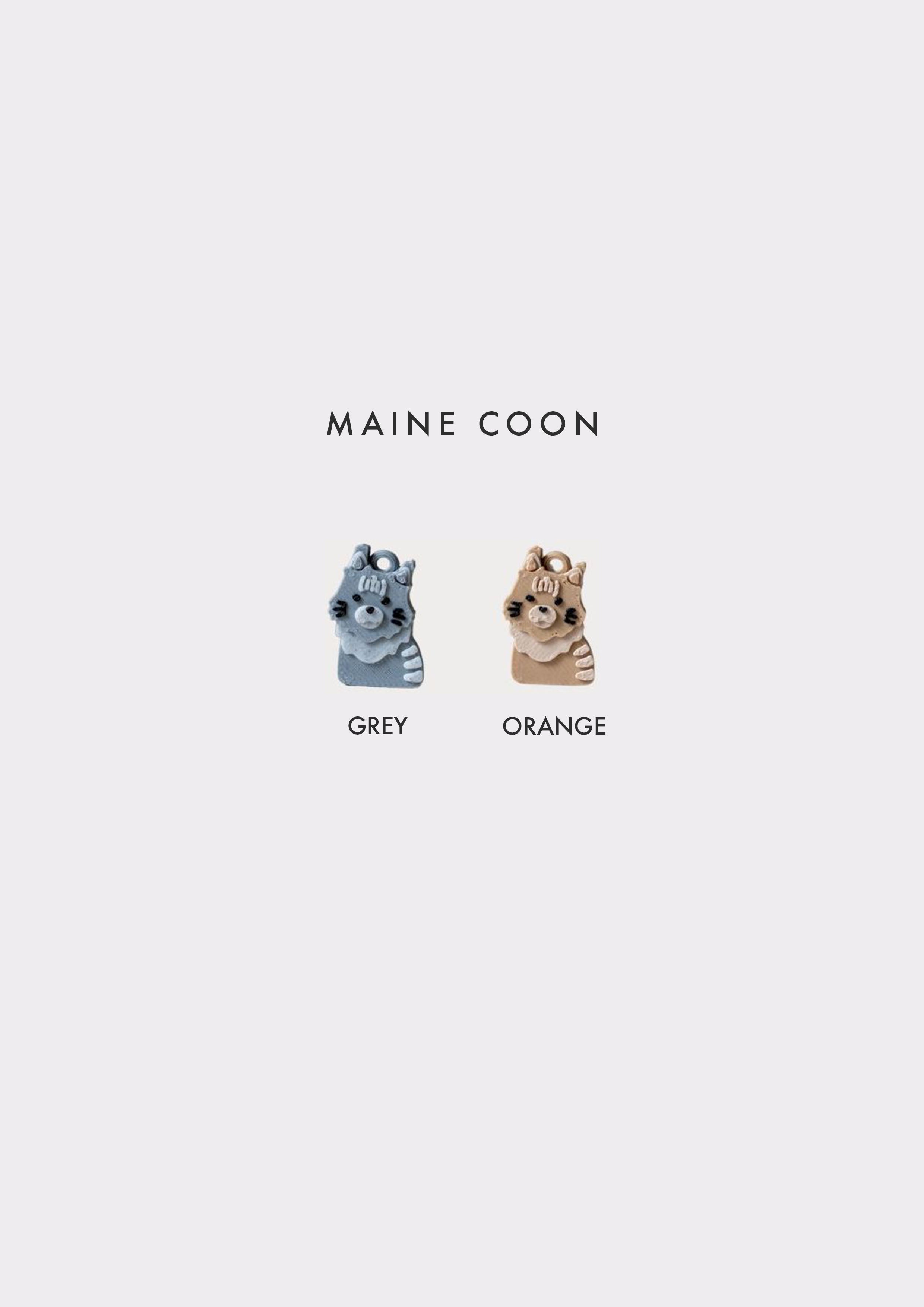 Maine Coon Prosopa Charm