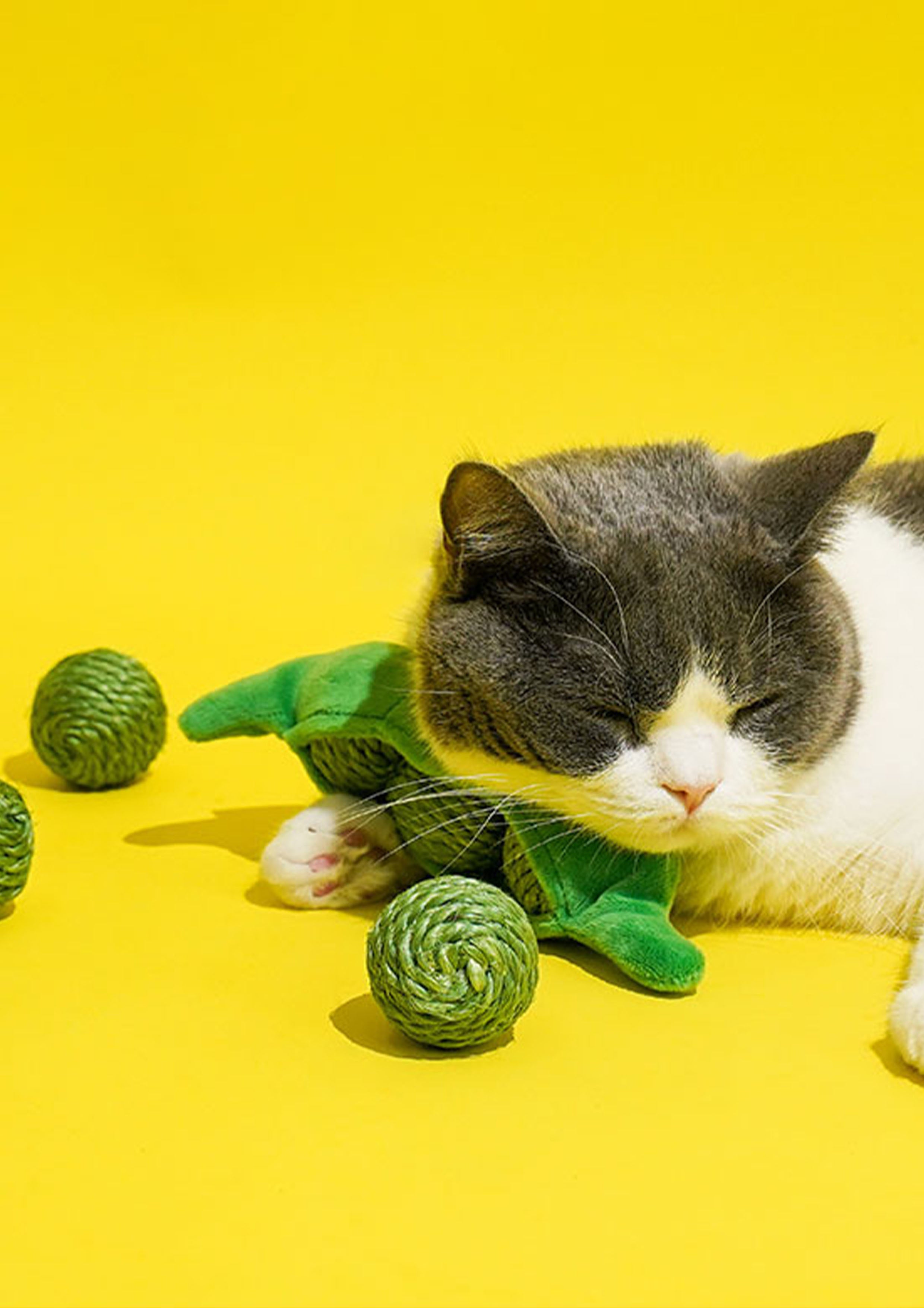 Green Pea Nosework Toy